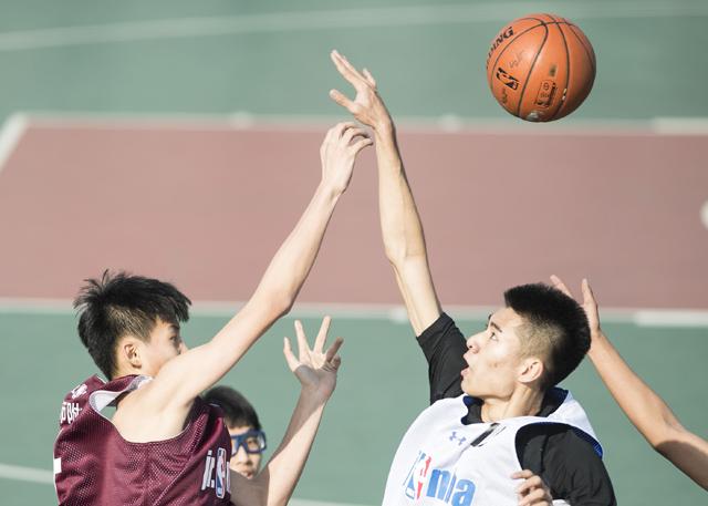 成人a在线视频免费观看
